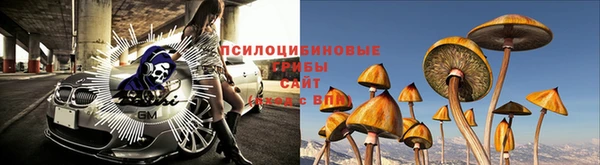 марки lsd Дмитровск