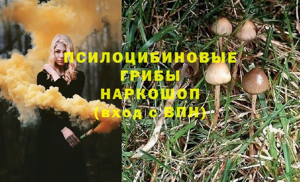 меф Дмитров