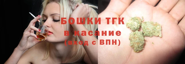 твердый Гусь-Хрустальный