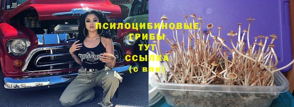 марки lsd Дмитровск