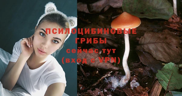 марки lsd Дмитровск