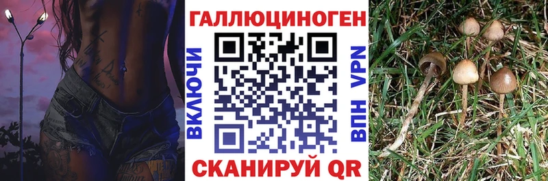 Галлюциногенные грибы MAGIC MUSHROOMS  KRAKEN tor  Нальчик 